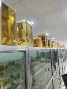 زيارة علمية لقسم العلوم الطبية المخبرية الى كلية الطب في الجامعة الاردنية وبنك الدم المركزي