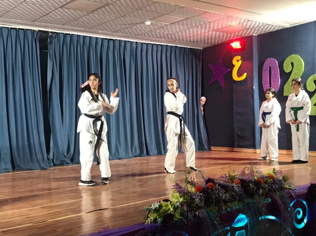 البازار الوردي في مدارس النظم