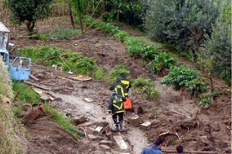 بريطانيا تعلن حالة الطوارئ في جزيرة إسكيا