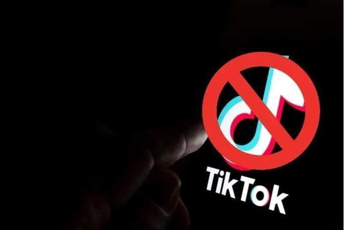 صورة حول : الحكومة تحسم الجدل حول حظر تيك توك بصورة نهائية في الاردن الحكومة تحسم الجدل حول حظر تيك توك بصورة نهائية في الاردن