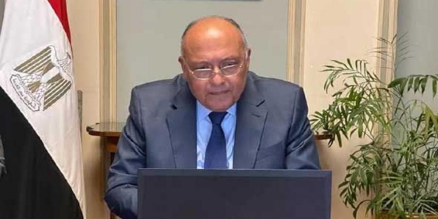 اجتماعات موسعة في مصر لإخراج القوات الأجنبية من ليبيا