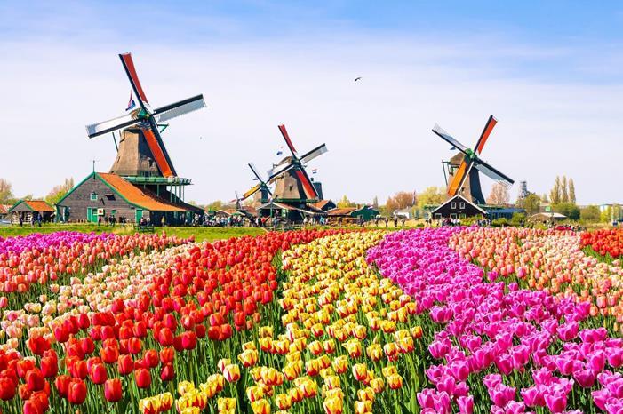 أجمل الأماكن التي ينصح بزيارتها في هولندا