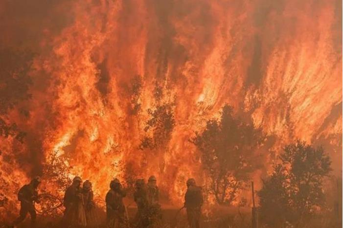 صورة حول : إسبانيا.. الحرائق تلتهم 4600 هكتار من الغابات إسبانيا.. الحرائق تلتهم 4600 هكتار من الغابات