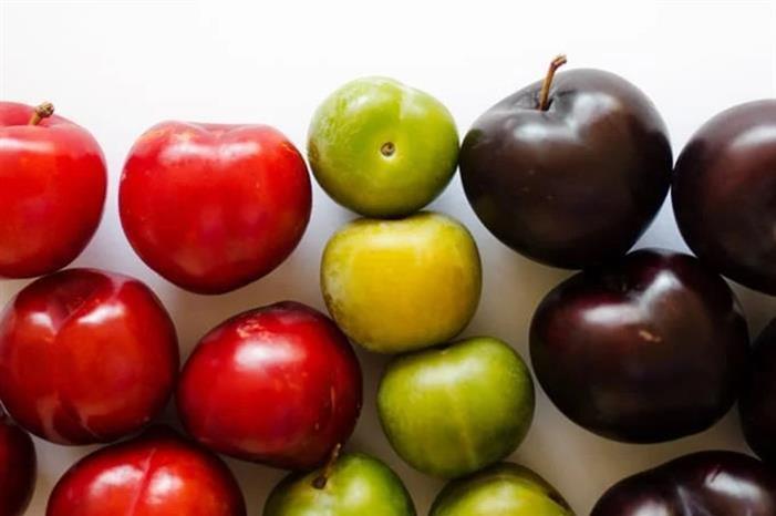 صورة حول : الفرق بين البرقوق الأحمر والأخضر الفرق بين البرقوق الأحمر والأخضر