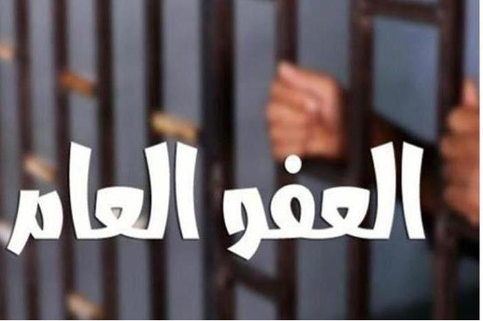 الفايز: لم نبلغ عن اي قرار بخصوص العفو العام