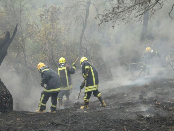 صورة حول : الدفاع المدني يتعامل مع ٤٦١ حريق أعشاب جافة وأشجار الدفاع المدني يتعامل مع ٤٦١ حريق أعشاب جافة وأشجار