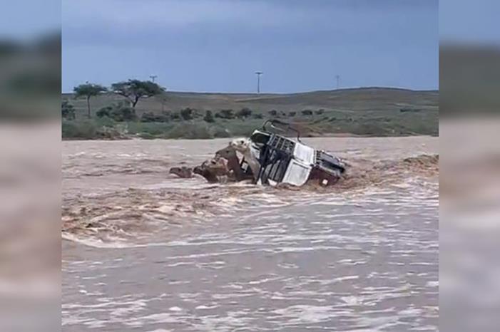 شاهدوا .. سيول تجرف شاحنة محملة بالإبل في السعودية