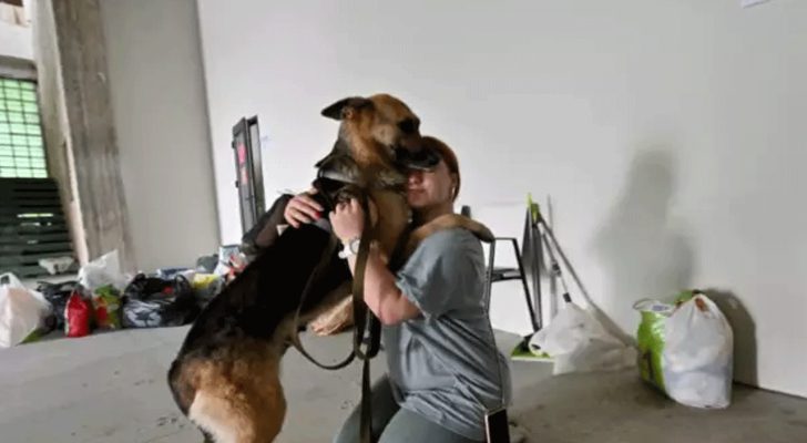 ملجأ حيوانات في كييف أُنقذت من فيضانات أوكرانيا