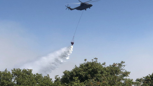 صورة حول : ٦٠٠ ضابط وفرد و٧٠ آلية إطفاء و٤ طائرات شاركوا في إخماد حرائق عجلون وجرش ٦٠٠ ضابط وفرد و٧٠ آلية إطفاء و٤ طائرات شاركوا في إخماد حرائق عجلون وجرش