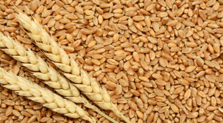 تراجع طفيف لأسعار القمح عالميا