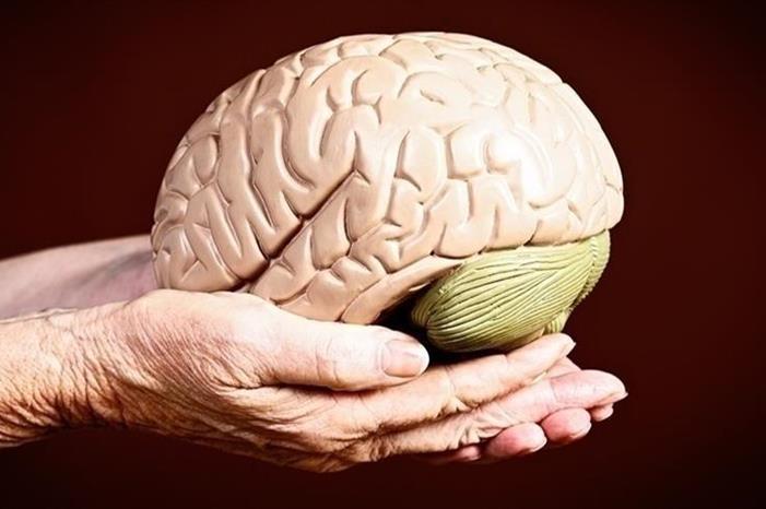 صورة حول : دراسة : العزلة تؤثر على حجم الدماغ دراسة : العزلة تؤثر على حجم الدماغ