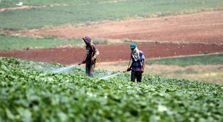 مهم من وزارة الزراعة لتجنب الآثار السلبية بسبب موجة الحر