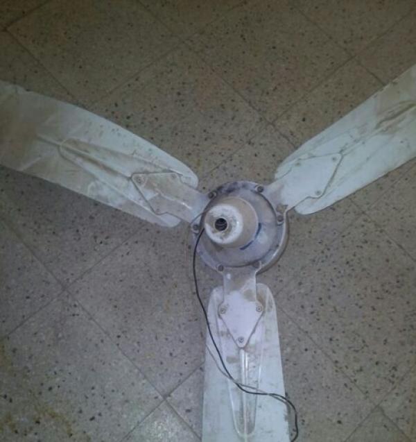 صورة حول : اربد: إصابة طفلة في الصف الأول بعد سقوط مروحة سقف على رأسها والتربية ترد اربد: إصابة طفلة في الصف الأول بعد سقوط مروحة سقف على رأسها والتربية ترد