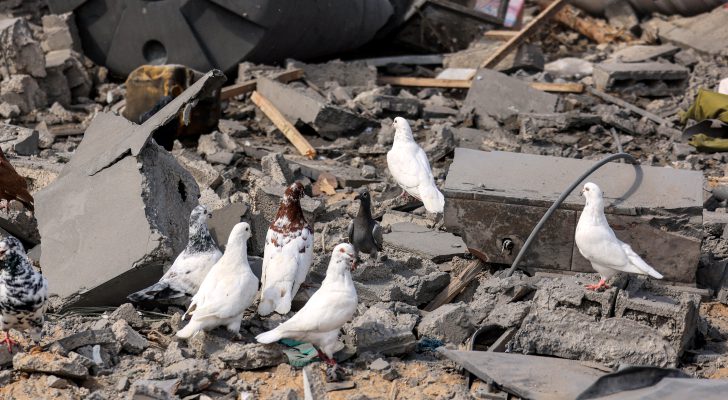 الأعيان: الاحتلال يدفع المنطقة إلى مزيد من العنف