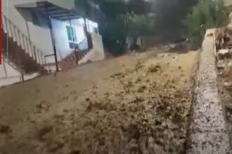 فيديو .. تعطيل مدارس الشوبك الاثنين بسبب الأحوال الجوية