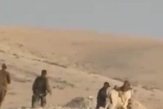 بالفيديو.. الاحتلال يستولي على حمار في مدينة يطا جنوبي الخليل