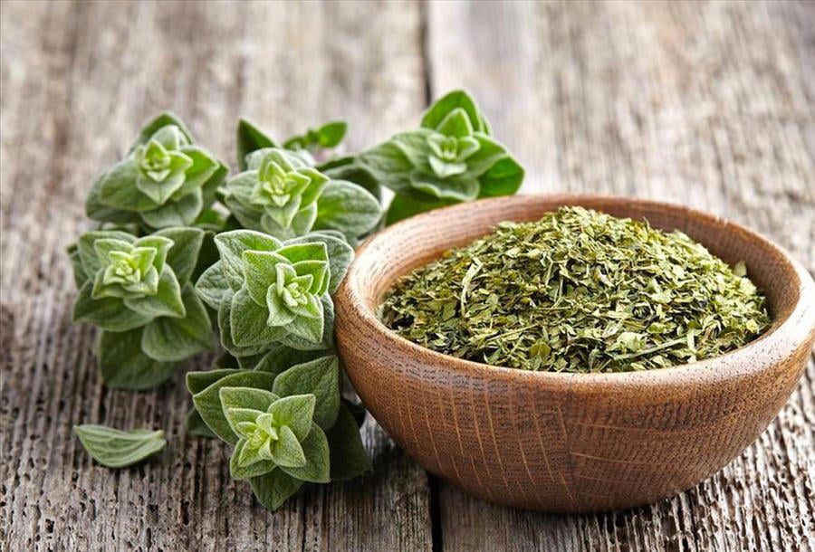 صورة حول : فوائد الزعتر الاخضر فوائد الزعتر الاخضر