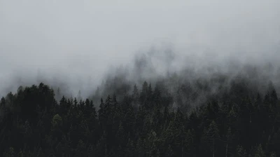 أجواء باردة نسبيا في الأردن الجمعة وتوقع هطول الأمطار