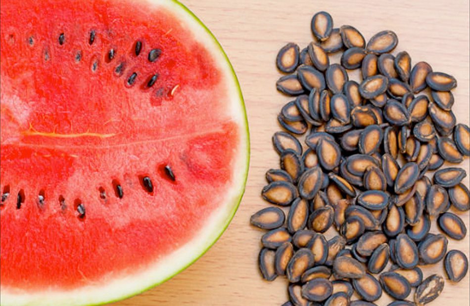 هل تَناول بذور البطيخ آمن للجسم؟