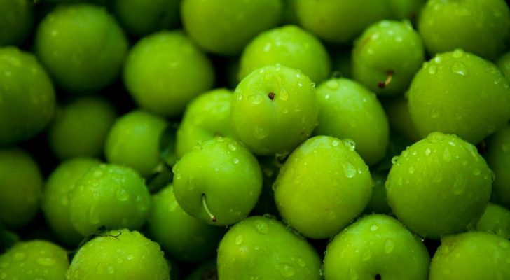 صورة حول : الثمرة الخضراء .. الكرز الأخضر الثمرة الخضراء .. الكرز الأخضر