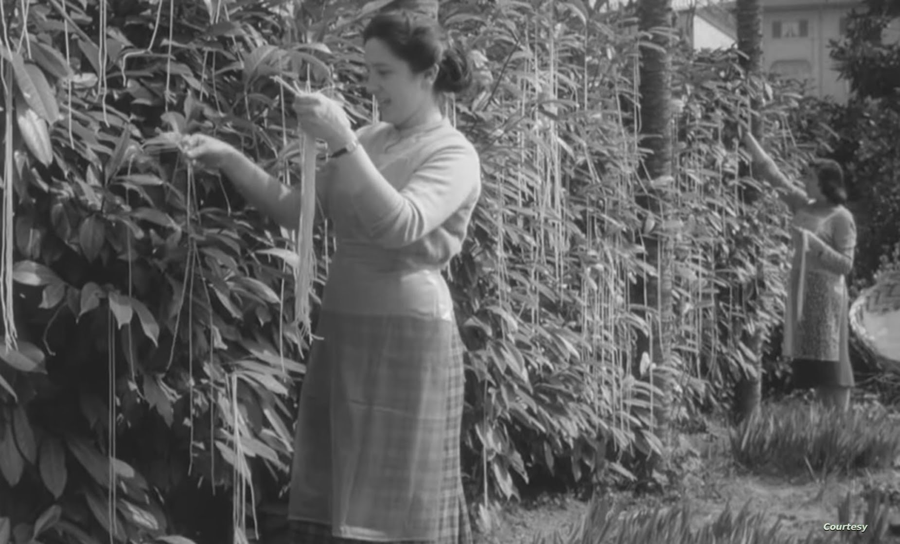 كـذبـة إبـريل