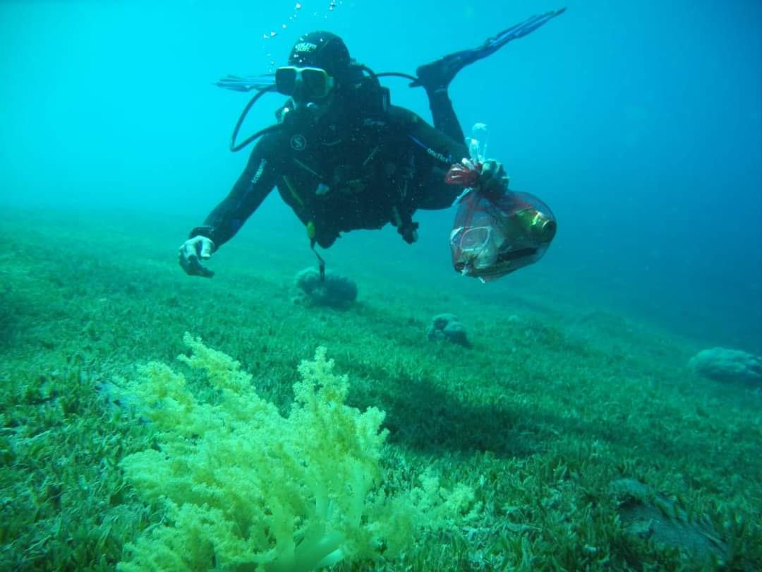 مبادرة صيف آمن تعم محافظات المملكة ودعوات لترسيخ الالتزام