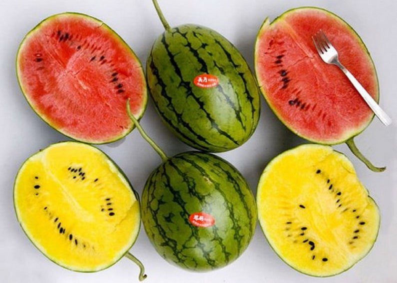 ما الفرق بين البطيخ الأصفر و البطيخ الأحمر ؟