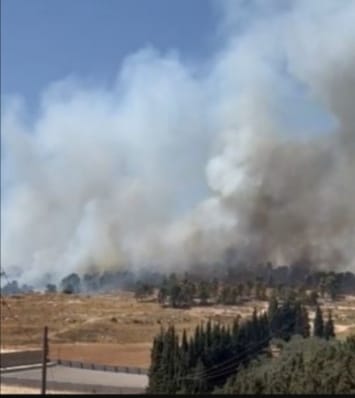 عاجل .. حريق هائل يجتاح متنزه عمان القومي