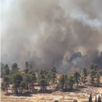 صورة حول : عاجل .. حريق هائل يجتاح متنزه عمان القومي عاجل .. حريق هائل يجتاح متنزه عمان القومي