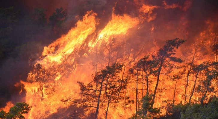 تركيا : حريق في شمال غرب البلاد يعرقل الملاحة البحرية لبضع ساعات