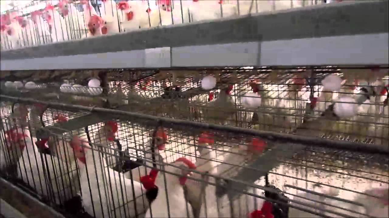 صورة حول : عاجل .. إغلاق 3 شركات واستمرار التحقيق في قضية حجاج أردنيين: تفاصيل الحكم وتطورات القضية عاجل .. إغلاق 3 شركات واستمرار التحقيق في قضية حجاج أردنيين: تفاصيل الحكم وتطورات القضية