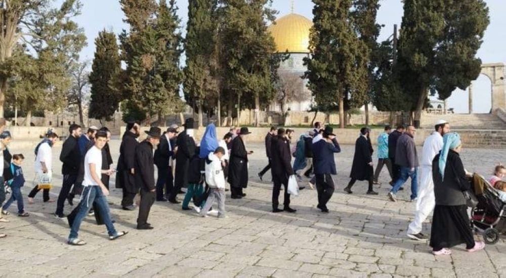 صورة حول : مستوطنون متطرفون يقتحمون المسجد الأقصى المبارك اليوم الاثنين مستوطنون متطرفون يقتحمون المسجد الأقصى المبارك اليوم الاثنين