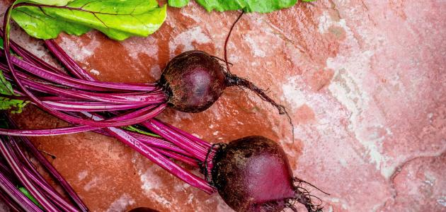 ما فوائد تناول البنجر على الريق؟