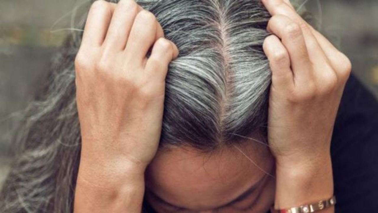 صورة حول : لماذا يبدأ الشيب عند بعض من الشباب مبكرا؟ لماذا يبدأ الشيب عند بعض من الشباب مبكرا؟