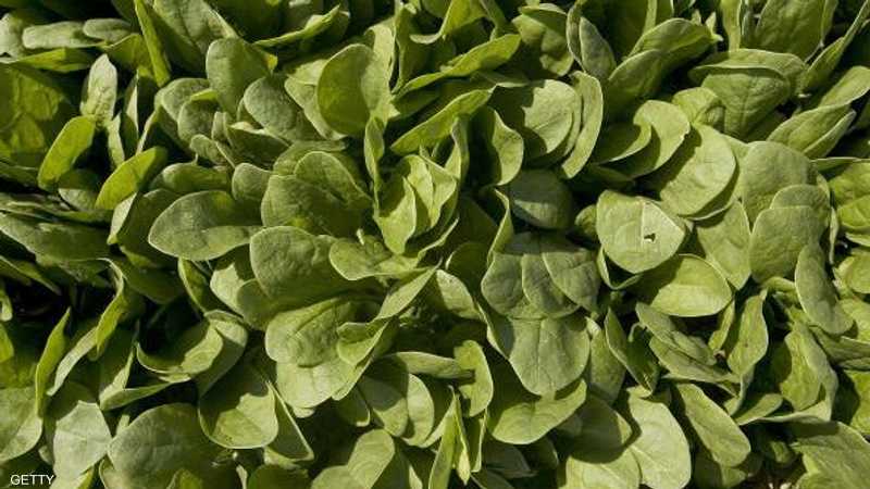 صورة حول : لماذا يبدأ الشيب عند بعض من الشباب مبكرا؟ لماذا يبدأ الشيب عند بعض من الشباب مبكرا؟