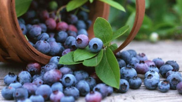 لماذا يبدأ الشيب عند بعض من الشباب مبكرا؟