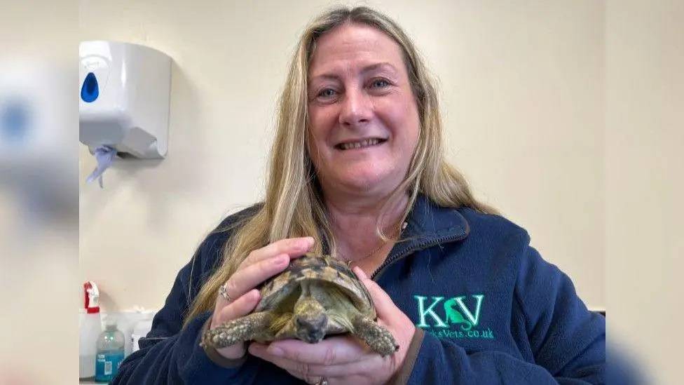 إنقاذ سلحفاة من من إعادة التدوير ضمن 22 طناً من النفايات