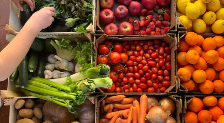 صورة حول : سوق اربد المركزي : 886 طن من الخضار والفواكه ترد للسوق سوق اربد المركزي : 886 طن من الخضار والفواكه ترد للسوق