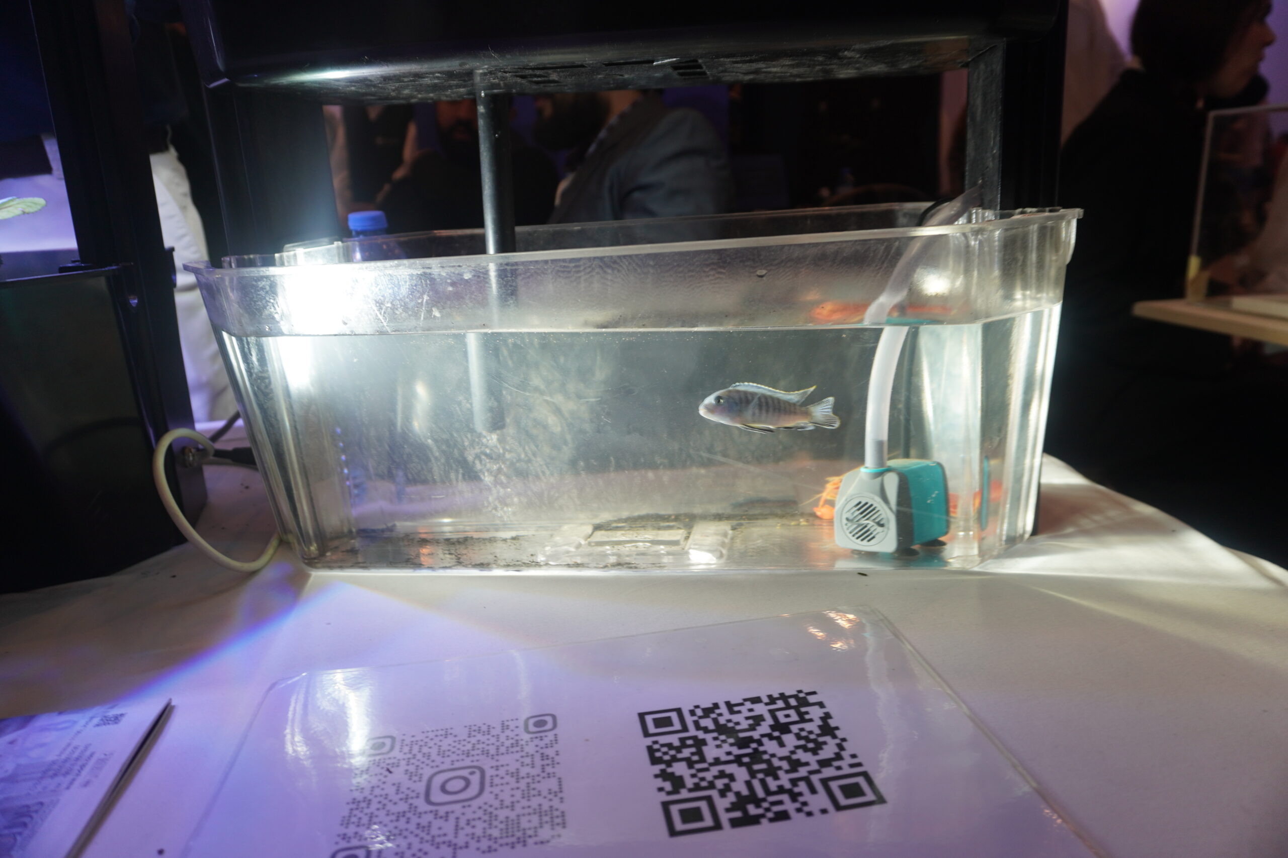 عاجل | أول ملتقى صناعي أردني" من مؤسسة ولي العهد لتعزيز التعاون .. صور