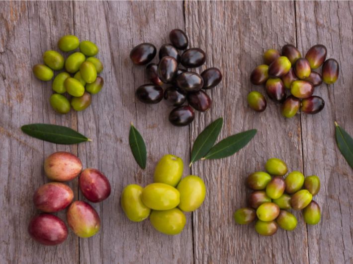 صورة حول : في موسم الزيتون ..ما أفضل أنواع الزيتون للاكل؟ في موسم الزيتون ..ما أفضل أنواع الزيتون للاكل؟