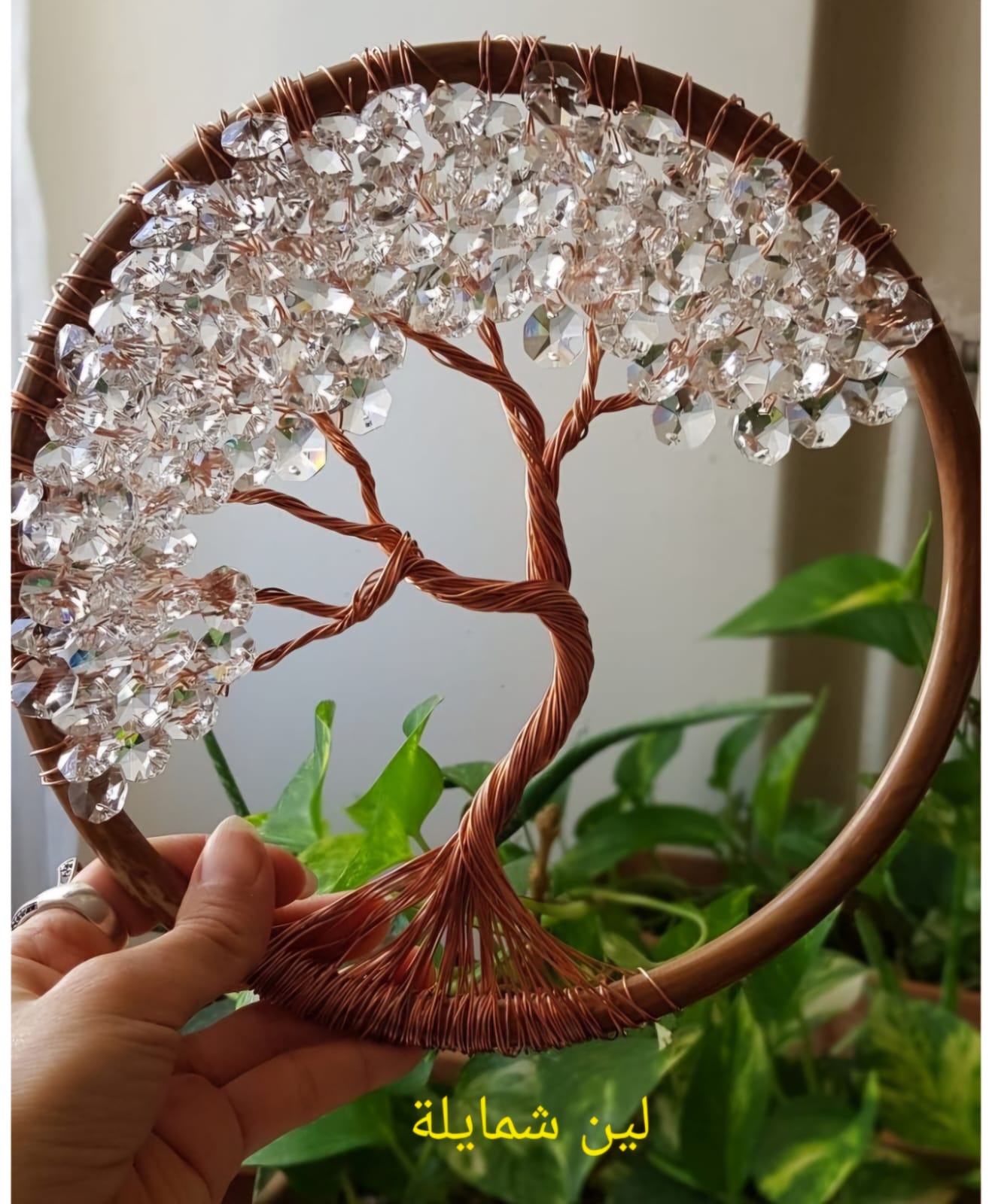 المرض ليس اخر الأبواب المغلقة لين شمايلة تفتح باب اخر ولن تستسلم