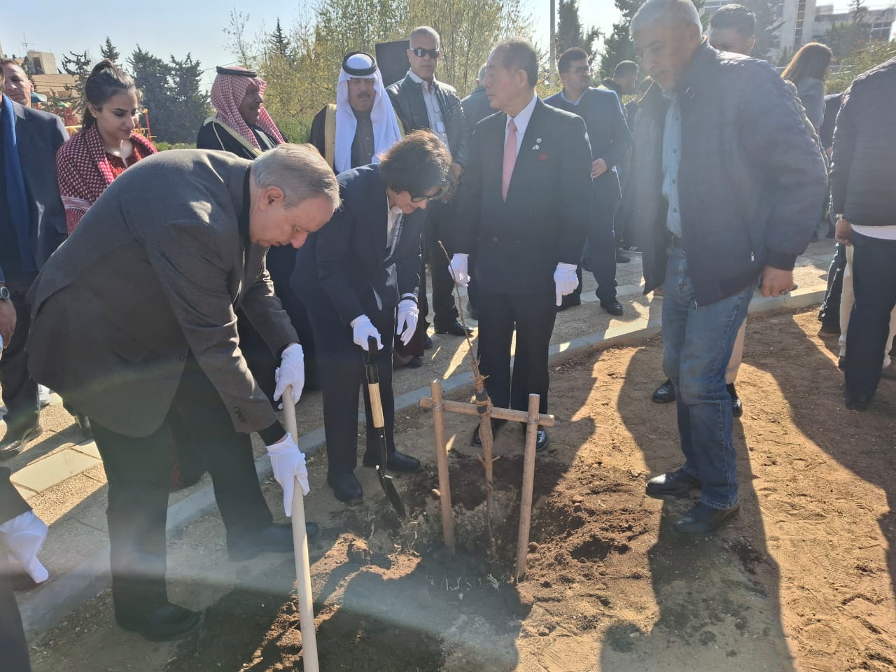   زراعة 70 شجرة كرز في عمان احتفالاً بمرور 70 عامًا من الصداقة بين الأردن واليابان