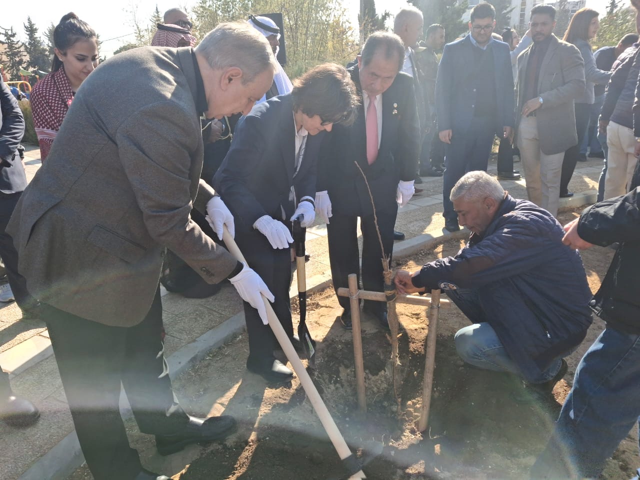   زراعة 70 شجرة كرز في عمان احتفالاً بمرور 70 عامًا من الصداقة بين الأردن واليابان