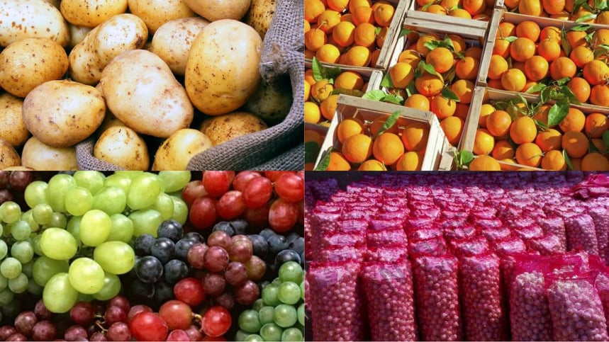 صورة حول : عاجل | الحكومة تقر دعم الصادرات الزراعية لمواجهة التحديات التسويقية عاجل | الحكومة تقر دعم الصادرات الزراعية لمواجهة التحديات التسويقية