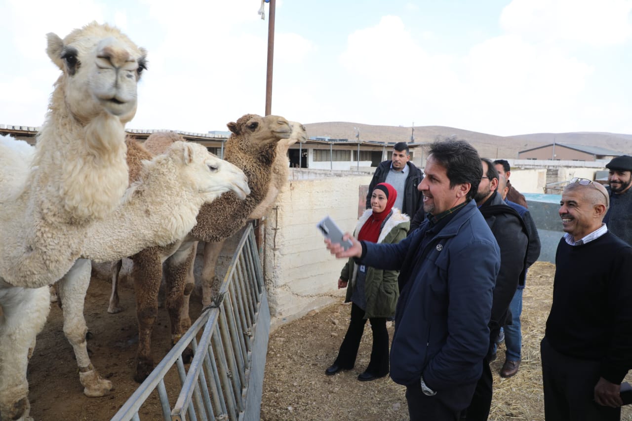 مدير المركز الوطني: محطة الخناصري رائدة في بحوث الثروة الحيوانية