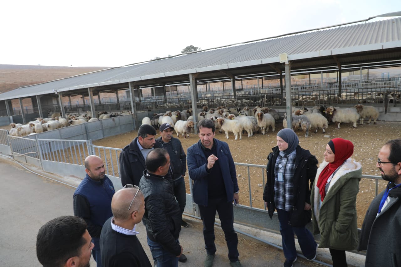 مدير المركز الوطني: محطة الخناصري رائدة في بحوث الثروة الحيوانية