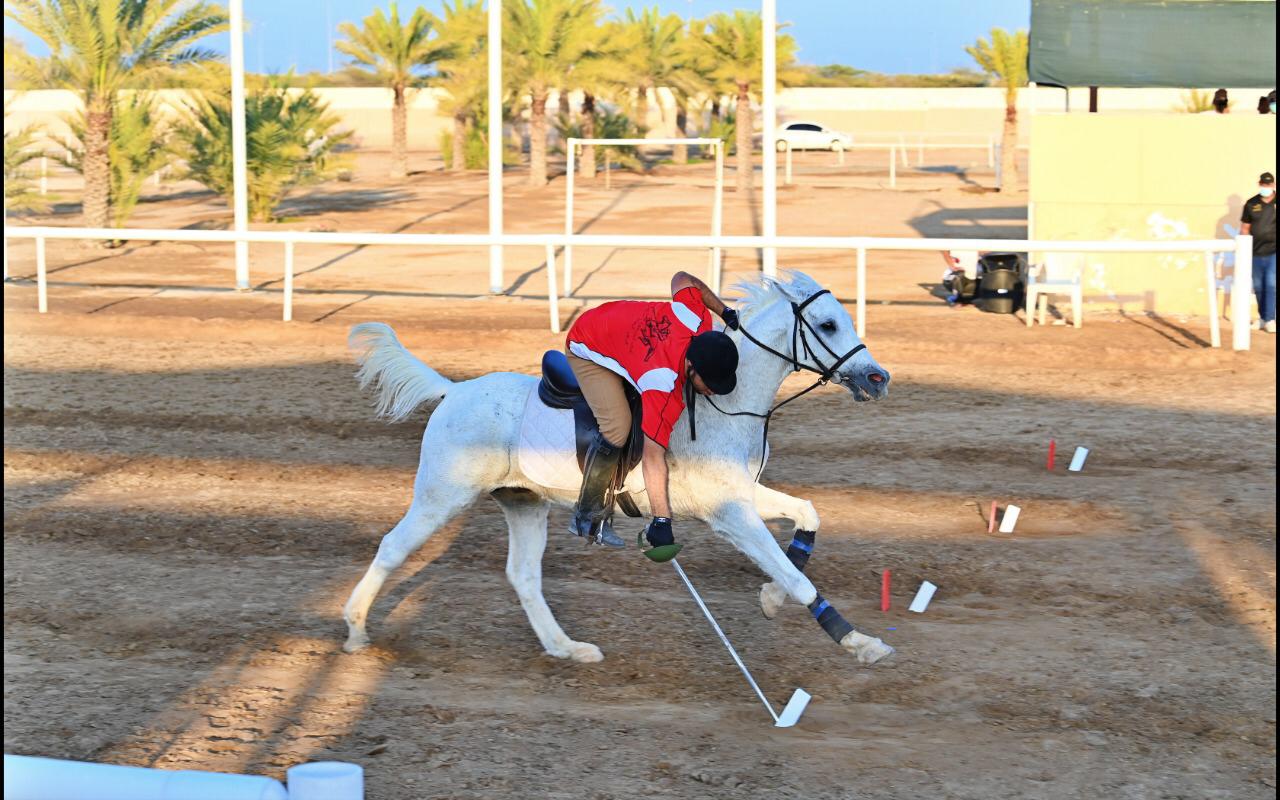 عاجل| العقبة تحتضن بطولة لالتقاط الأوتاد برعاية سمو الأميرة عالية .. فيديو