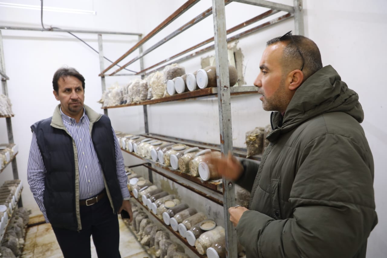 مدير البحوث الزراعية يتفقد محطة الخالدية لدعم الزراعة الملحية