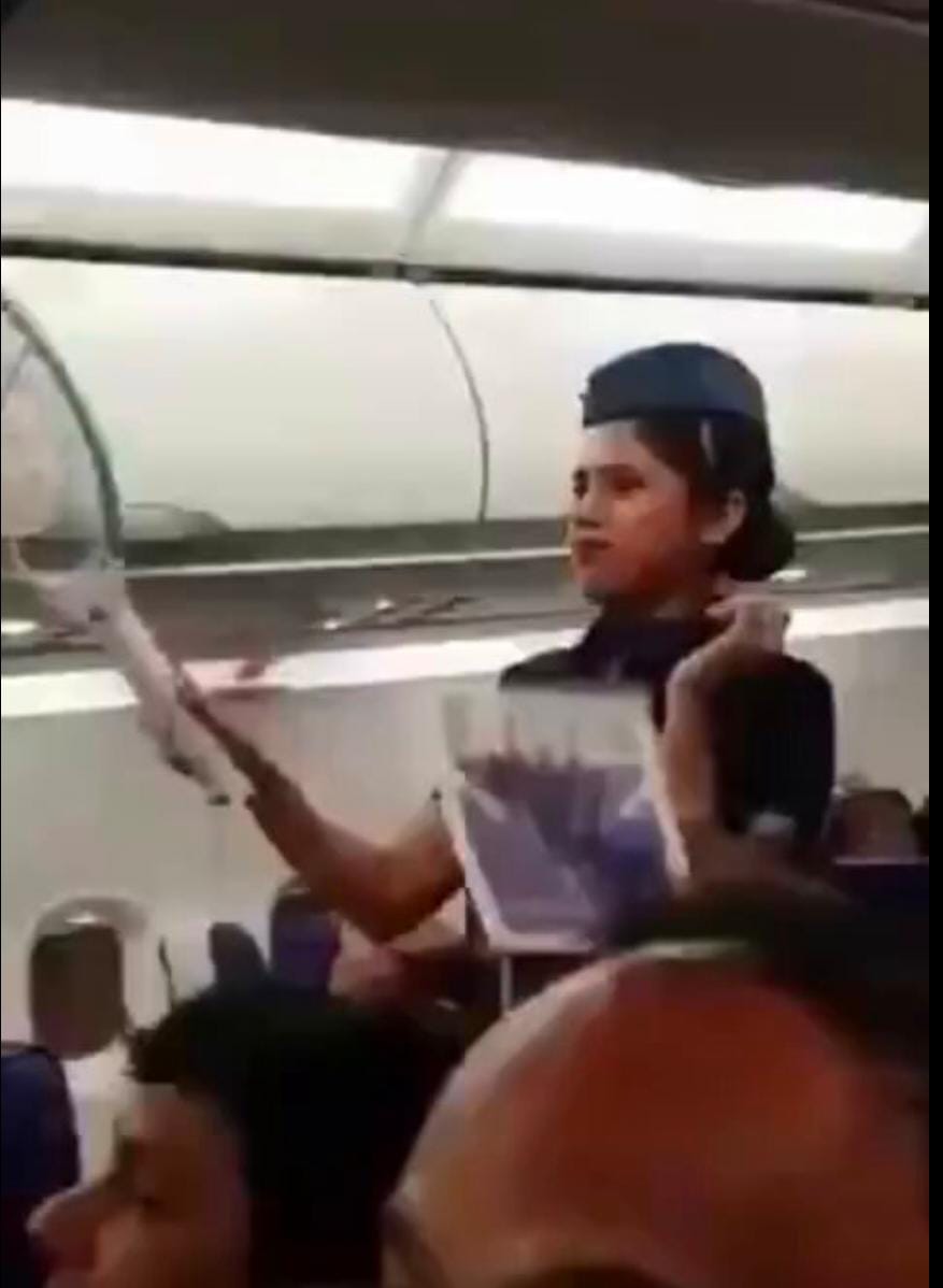 مضيفات الطيران الهندية يستخدمن المضارب لقتل البعوض خلال رحلة جوية (فيديو)