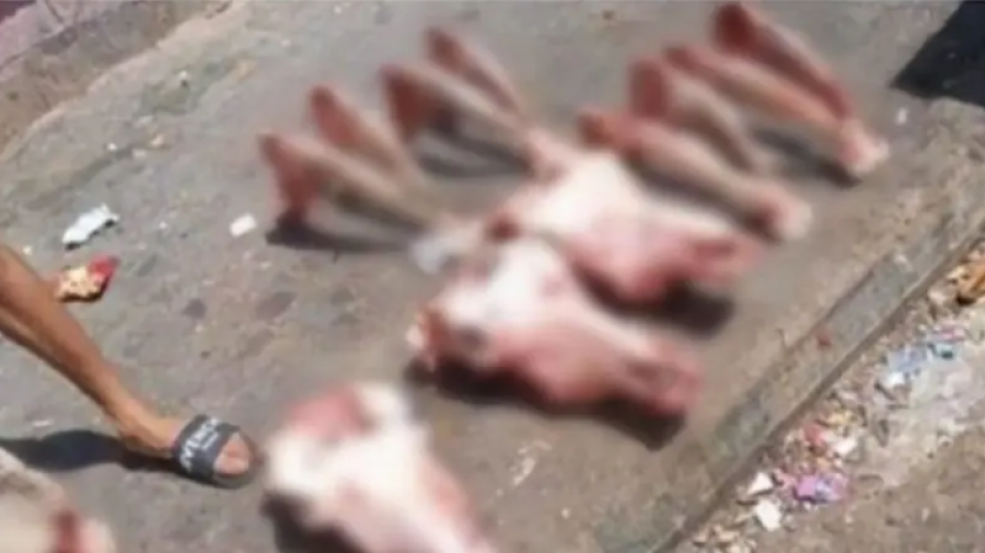 العثور على رؤوس حمير في المحمدية يثير مخاوف من بيع لحوم مجهولة المصدر